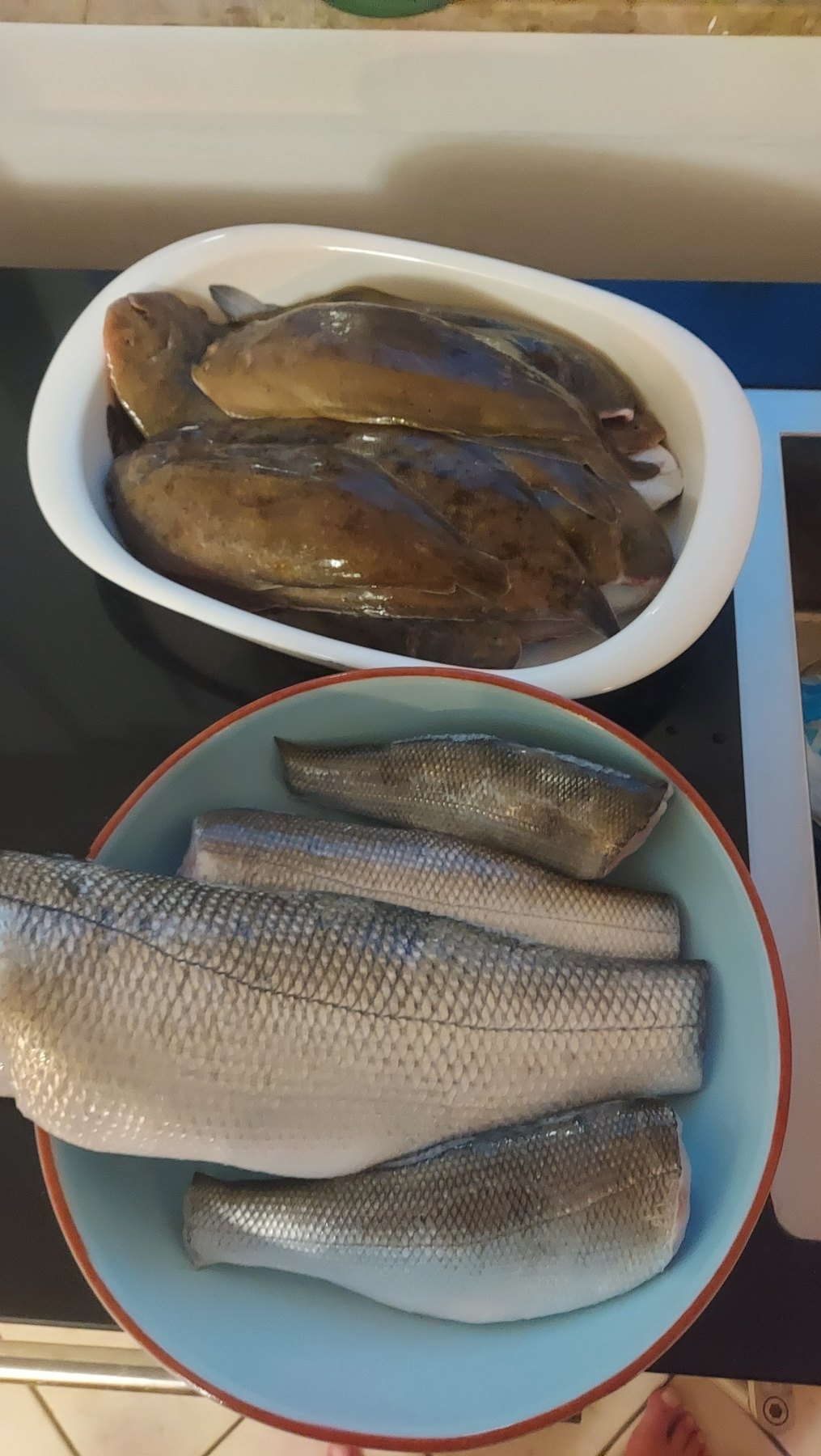Vangst / visdag