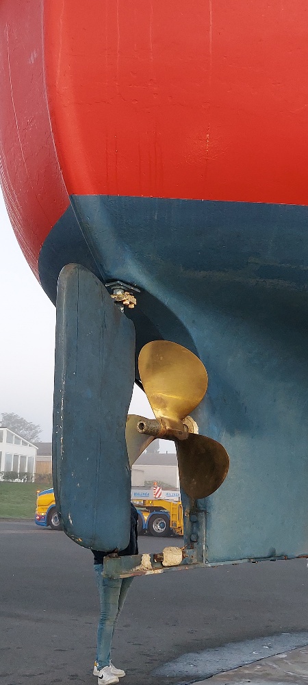 Boot in Roompot Marina in de avond