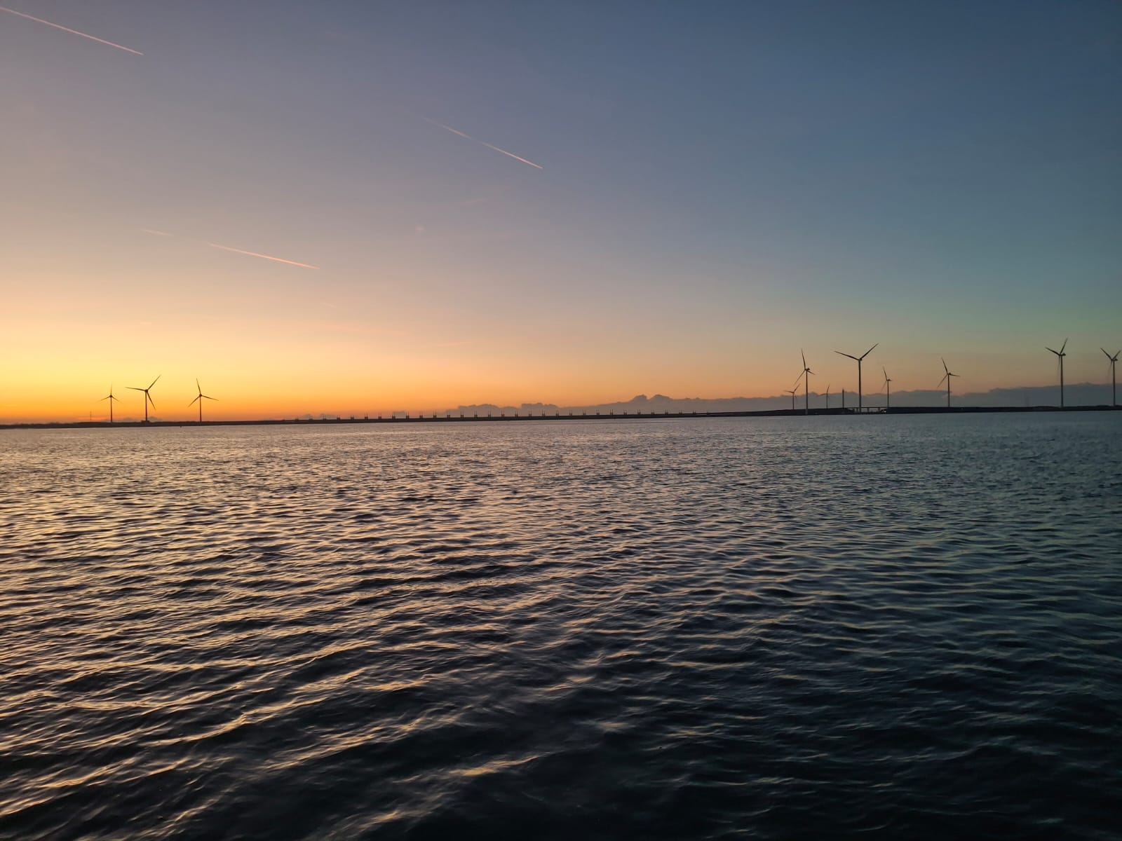 Gevangen zeebaars aan boord